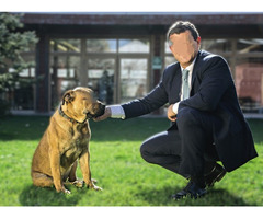 Homem procura mulher